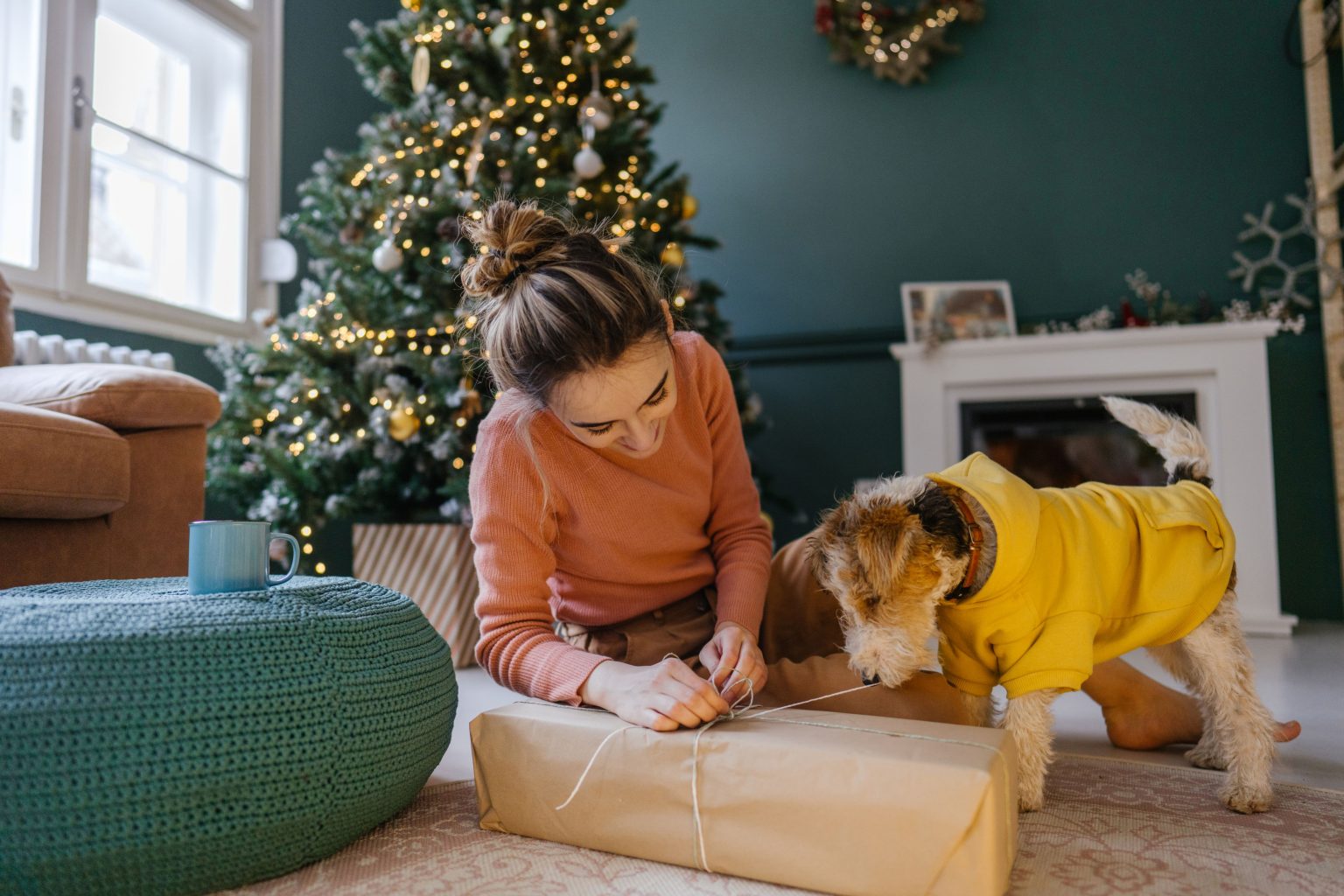 5 Ways to Spoil Your Pet This Season | Curem Veterinary Care