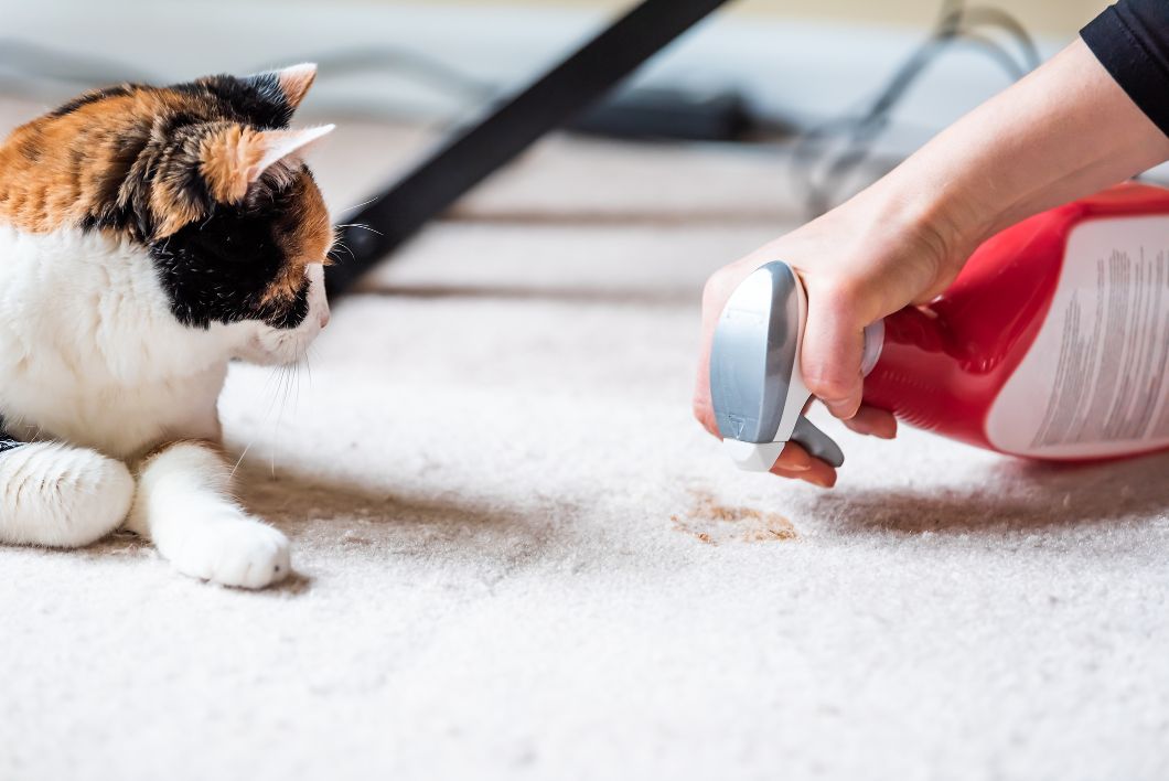 eco-friendly pet care.