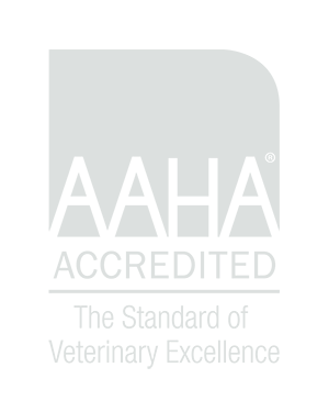 AAHA accredited