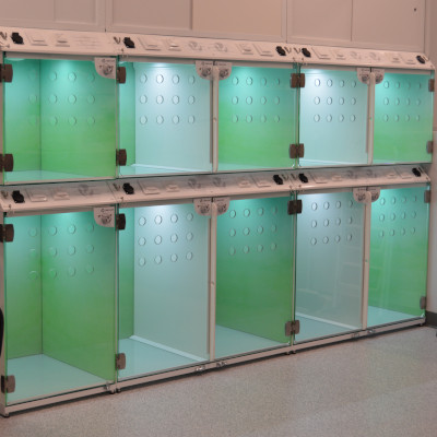 Treatment kennels