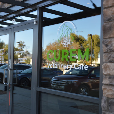 Our practice exterior